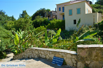 Bij de bronnen van Karavas | Kythira | Foto 16 - Foto van https://www.grieksegids.nl/fotos/eiland-kythira/bronnen-karavas/normaal/bronnen-karavas-016.jpg