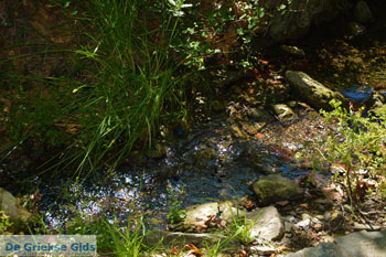 Bij de bronnen van Karavas | Kythira | Foto 32 - Foto van https://www.grieksegids.nl/fotos/eiland-kythira/bronnen-karavas/normaal/bronnen-karavas-032.jpg