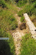 Foto Kythira Ionische Inseln GriechenlandWeb - Foto GriechenlandWeb.de