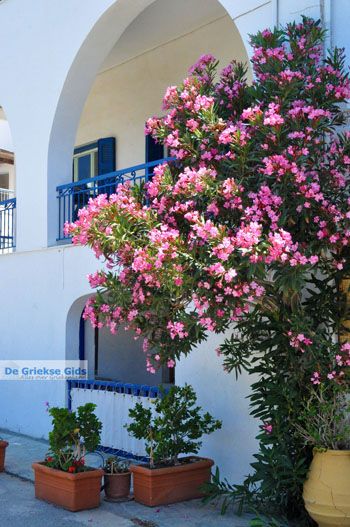 Kapsali Kythira | Griekenland 21 - Foto van https://www.grieksegids.nl/fotos/eiland-kythira/kapsali/normaal/kapsali-kythira-021.jpg