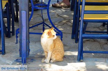 Kapsali Kythira | Griekenland 36 - Foto van https://www.grieksegids.nl/fotos/eiland-kythira/kapsali/normaal/kapsali-kythira-036.jpg