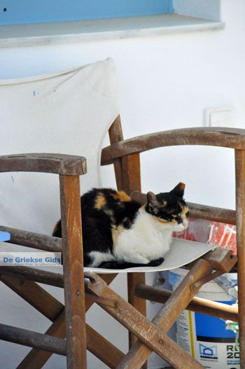 Kapsali Kythira | Griekenland 40 - Foto van https://www.grieksegids.nl/fotos/eiland-kythira/kapsali/normaal/kapsali-kythira-040.jpg