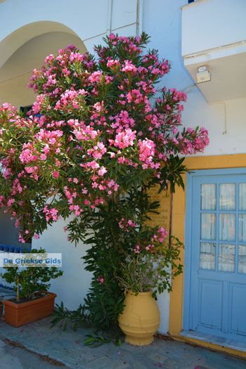 Kapsali Kythira | Griekenland 67 - Foto van https://www.grieksegids.nl/fotos/eiland-kythira/kapsali/normaal/kapsali-kythira-067.jpg