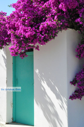 Karavas Kythira | Griekenland 5 - Foto van https://www.grieksegids.nl/fotos/eiland-kythira/karavas/normaal/karavas-kythira-005.jpg