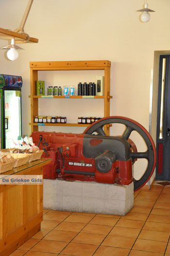 Karavas Kythira | Griekenland 26 - Foto van https://www.grieksegids.nl/fotos/eiland-kythira/karavas/normaal/karavas-kythira-026.jpg