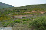 Karvounades Kythira | Griekenland 14 - Foto van De Griekse Gids