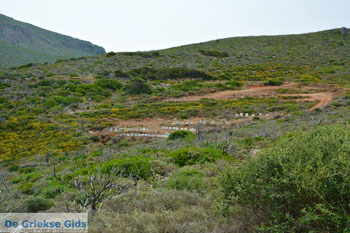 Karvounades Kythira | Griekenland 14 - Foto van https://www.grieksegids.nl/fotos/eiland-kythira/karvounades/normaal/karvounades-kythira-014.jpg