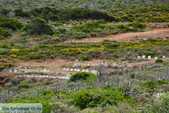 Karvounades Kythira | Griekenland 15 - Foto van https://www.grieksegids.nl/fotos/eiland-kythira/karvounades/normaal/karvounades-kythira-015.jpg