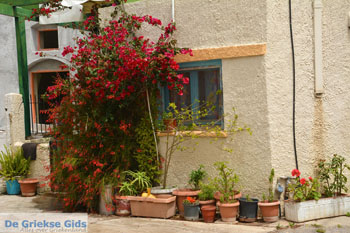 Karvounades Kythira | Griekenland 26 - Foto van https://www.grieksegids.nl/fotos/eiland-kythira/karvounades/normaal/karvounades-kythira-026.jpg