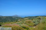 GriechenlandWeb Komponada Strandt Karvounades auf Kythira | GriechenlandWeb.de foto 8 - Foto GriechenlandWeb.de