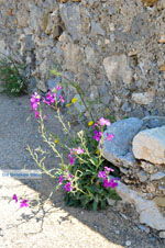 Kythira stad (Chora) | Griekenland 93 - Foto van De Griekse Gids