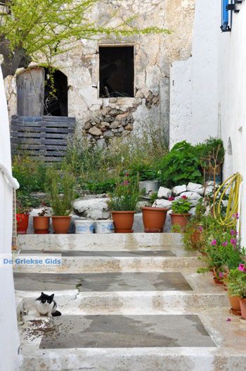 Kythira stad (Chora) | Griekenland 31 - Foto van https://www.grieksegids.nl/fotos/eiland-kythira/kythira-stad/normaal/kythira-stad-chora-031.jpg