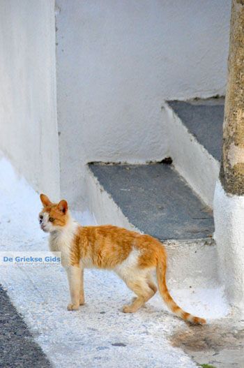 Kythira stad (Chora) | Griekenland 37 - Foto van https://www.grieksegids.nl/fotos/eiland-kythira/kythira-stad/normaal/kythira-stad-chora-037.jpg