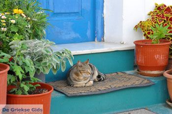 Kythira stad (Chora) | Griekenland 38 - Foto van https://www.grieksegids.nl/fotos/eiland-kythira/kythira-stad/normaal/kythira-stad-chora-038.jpg