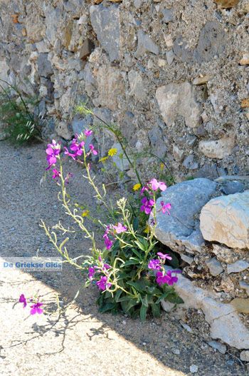 Kythira stad (Chora) | Griekenland 93 - Foto van https://www.grieksegids.nl/fotos/eiland-kythira/kythira-stad/normaal/kythira-stad-chora-093.jpg