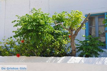 Kythira stad (Chora) | Griekenland 98 - Foto van https://www.grieksegids.nl/fotos/eiland-kythira/kythira-stad/normaal/kythira-stad-chora-098.jpg