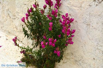 Kythira stad (Chora) | Griekenland 136 - Foto van https://www.grieksegids.nl/fotos/eiland-kythira/kythira-stad/normaal/kythira-stad-chora-136.jpg