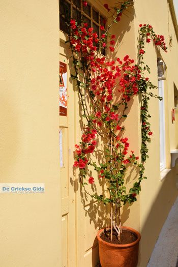 Kythira stad (Chora) | Griekenland 251 - Foto van https://www.grieksegids.nl/fotos/eiland-kythira/kythira-stad/normaal/kythira-stad-chora-251.jpg