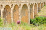 Katouni brug | Ano en Kato Livadi Kythira | Griekenland | Foto 9 - Foto van De Griekse Gids