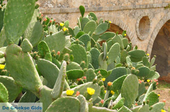 Katouni brug | Ano en Kato Livadi Kythira | Griekenland | Foto 10 - Foto van https://www.grieksegids.nl/fotos/eiland-kythira/livadi/normaal/livadi-kythira-010.jpg