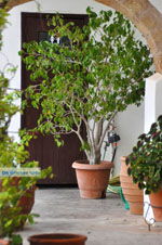 GriechenlandWeb.de Klooster Mirtidia (Mirtidiotissa) | Kythira | Foto 14 - Foto GriechenlandWeb.de