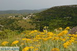 Foto Kythira Ionische Inseln GriechenlandWeb.de - Foto GriechenlandWeb.de