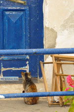 Mylopotamos Kythira | Griekenland 6 - Foto van De Griekse Gids