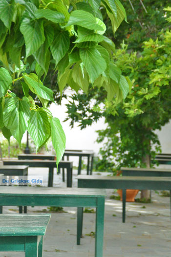 Mylopotamos Kythira | Griekenland 14 - Foto van https://www.grieksegids.nl/fotos/eiland-kythira/mylopotamos/normaal/mylopotamos-kythira-014.jpg