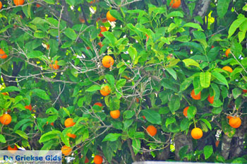 Mylopotamos Kythira | Griekenland 21 - Foto van https://www.grieksegids.nl/fotos/eiland-kythira/mylopotamos/normaal/mylopotamos-kythira-021.jpg