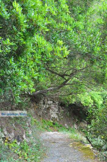 Mylopotamos Kythira | Griekenland 29 - Foto van https://www.grieksegids.nl/fotos/eiland-kythira/mylopotamos/normaal/mylopotamos-kythira-029.jpg