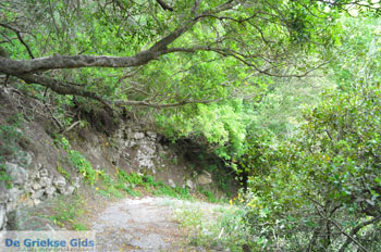 Mylopotamos Kythira | Griekenland 30 - Foto van https://www.grieksegids.nl/fotos/eiland-kythira/mylopotamos/normaal/mylopotamos-kythira-030.jpg