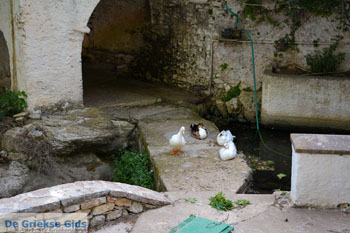 Mylopotamos Kythira | Griekenland 72 - Foto van https://www.grieksegids.nl/fotos/eiland-kythira/mylopotamos/normaal/mylopotamos-kythira-072.jpg