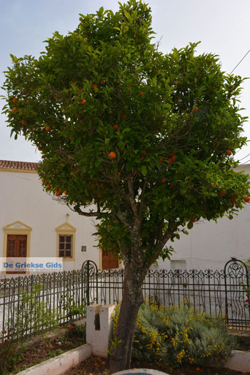 Mylopotamos Kythira | Griekenland 92 - Foto van https://www.grieksegids.nl/fotos/eiland-kythira/mylopotamos/normaal/mylopotamos-kythira-092.jpg