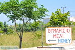 Kalokerines bij Karvounades | Kythira Foto 13 - Foto van De Griekse Gids
