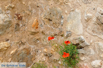 Paliochora Kythira | Griekenland 23 - Foto van https://www.grieksegids.nl/fotos/eiland-kythira/paliochora/normaal/paliochora-kythira-023.jpg