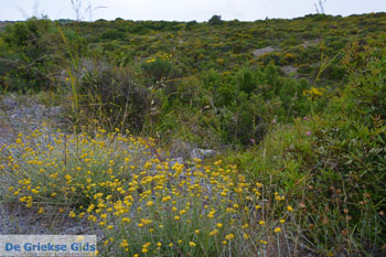 Paliochora Kythira | Griekenland 29 - Foto van https://www.grieksegids.nl/fotos/eiland-kythira/paliochora/normaal/paliochora-kythira-029.jpg