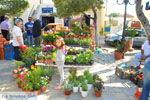 GriechenlandWeb Markt Potamos Kythira | Griechenland | GriechenlandWeb.de foto 4 - Foto GriechenlandWeb.de