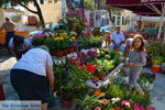 Markt Potamos Kythira | Griekenland 24 - Foto van De Griekse Gids