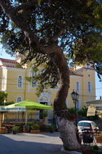 GriechenlandWeb.de Potamos Kythira | Griechenland | GriechenlandWeb.de foto 39 - Foto GriechenlandWeb.de