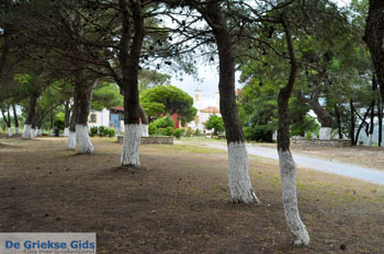 Klooster Osios Theodoros Potamos Kythira | Griekenland foto 6 - Foto van https://www.grieksegids.nl/fotos/eiland-kythira/potamos/normaal/potamos-kythira-006.jpg