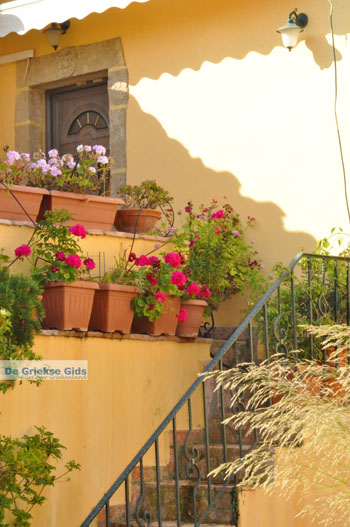 Potamos Kythira | Griekenland 8 - Foto van https://www.grieksegids.nl/fotos/eiland-kythira/potamos/normaal/potamos-kythira-050.jpg