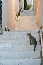 GriechenlandWeb Stenies | Insel Andros | GriechenlandWeb.de foto 8 - Foto GriechenlandWeb.de