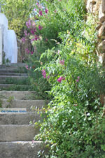 GriechenlandWeb.de Stenies | Insel Andros | GriechenlandWeb.de foto 20 - Foto GriechenlandWeb.de