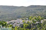 GriechenlandWeb.de Stenies | Insel Andros | GriechenlandWeb.de foto 33 - Foto GriechenlandWeb.de