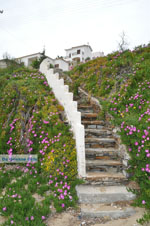 GriechenlandWeb.de Batsi | Insel Andros | GriechenlandWeb.de | Foto 7 - Foto GriechenlandWeb.de