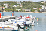 GriechenlandWeb.de Batsi | Insel Andros | GriechenlandWeb.de | Foto 58 - Foto GriechenlandWeb.de