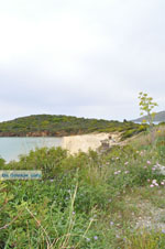 GriechenlandWeb.de Strand Batsi | Insel Andros | GriechenlandWeb.de | Foto 5 - Foto GriechenlandWeb.de