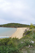 Strand bij Batsi | Eiland Andros | De Griekse Gids | Foto 6 - Foto van De Griekse Gids