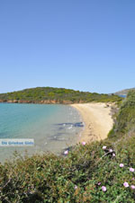 Strand Kypri (Golden Beach) bij Batsi | Eiland Andros | De Griekse Gids foto 008 - Foto van De Griekse Gids