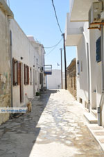 GriechenlandWeb.de Haven Gavrio | Insel Andros | GriechenlandWeb.de | Foto 18 - Foto GriechenlandWeb.de